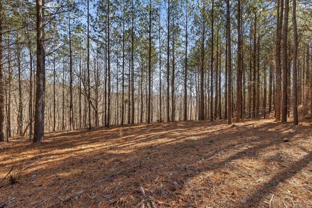 0 Wildlife Way, Guild, TN 37340