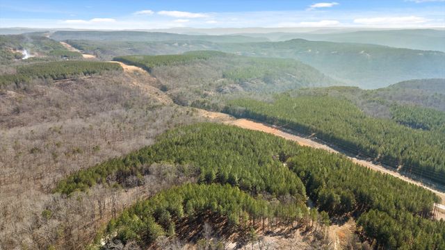 0 Wildlife Way, Guild, TN 37340