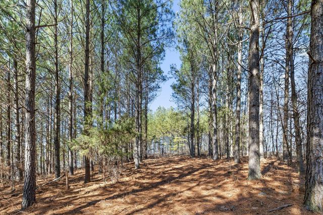 0 Wildlife Way, Guild, TN 37340