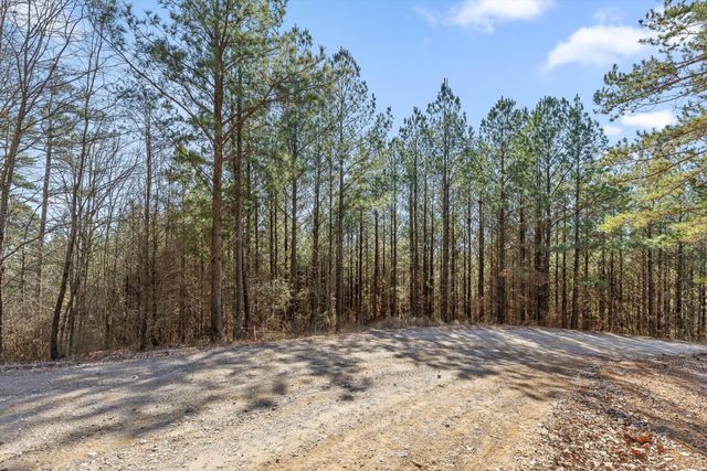 0 Wildlife Way, Guild, TN 37340