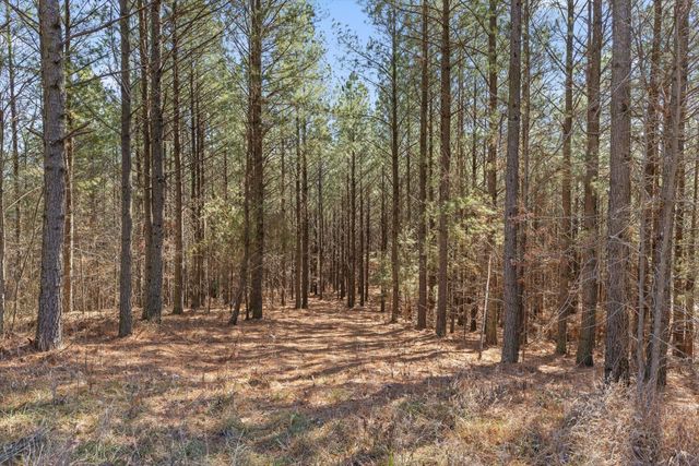 0 Wildlife Way, Guild, TN 37340