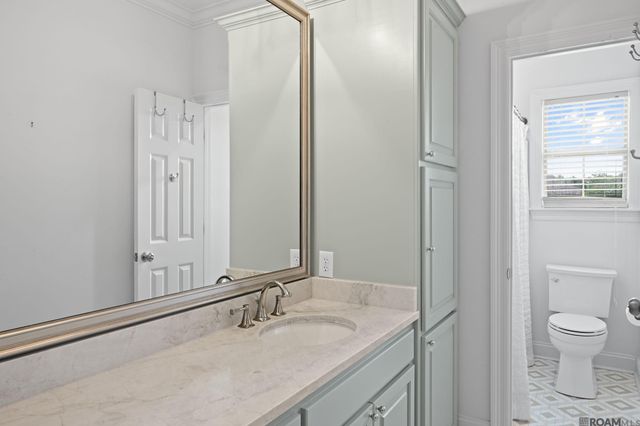 13045 Oak Knoll Dr, Geismar, LA 70734