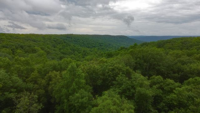 943 Old CCC Rd, Sewanee, TN 37375