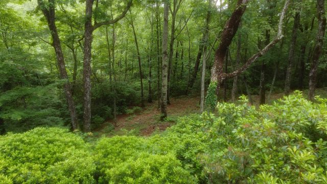 943 Old CCC Rd, Sewanee, TN 37375