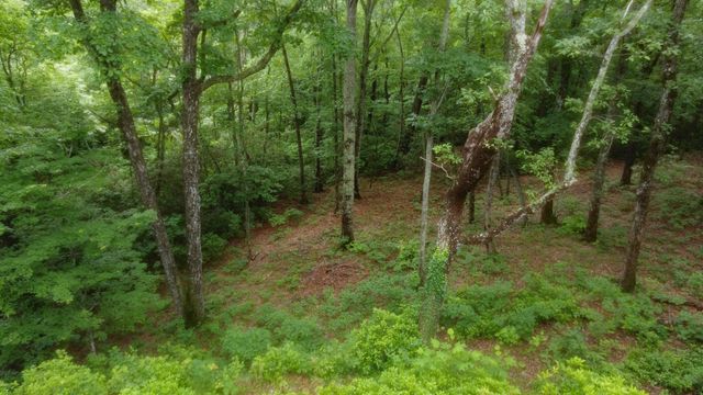 943 Old CCC Rd, Sewanee, TN 37375