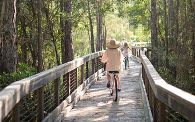 EE7 Mose Alley, Inlet Beach, FL 32461