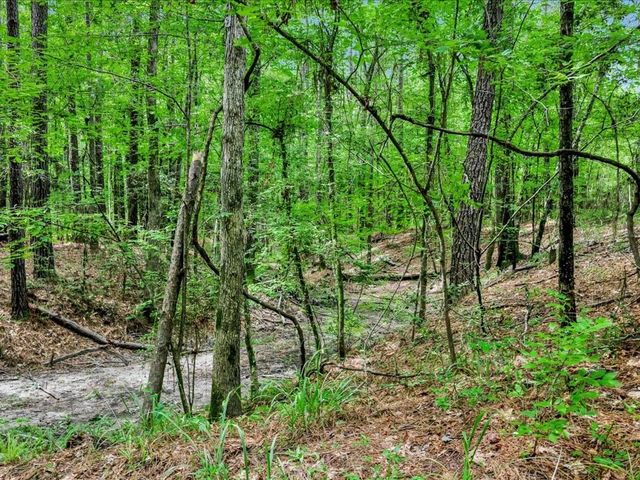 5700 Fm 2497, Lufkin, TX 75904