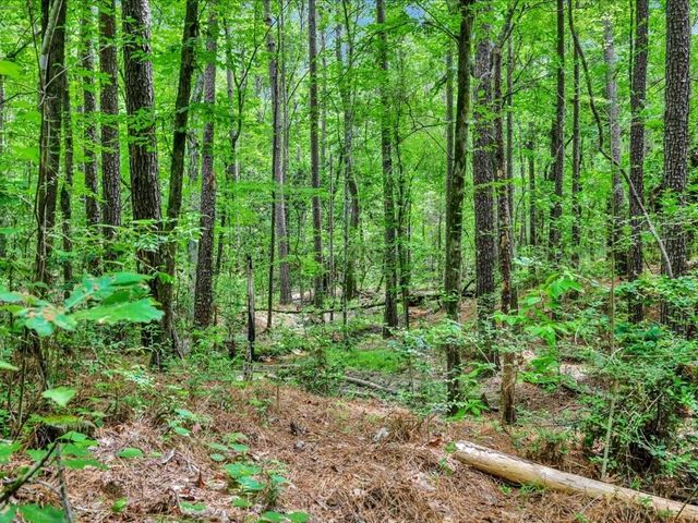 5700 Fm 2497, Lufkin, TX 75904