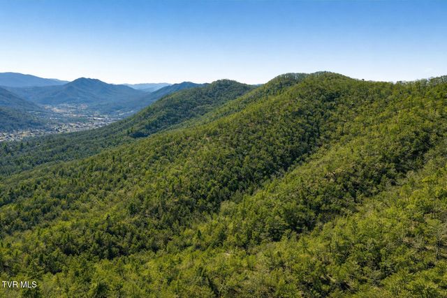 Tbd John Glover Road, Hampton, TN 37658
