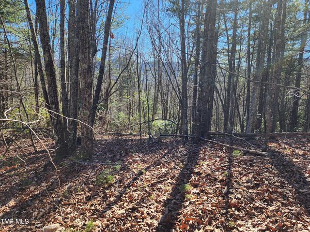 Tbd John Glover Road, Hampton, TN 37658