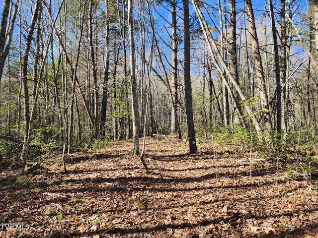 Tbd John Glover Road, Hampton, TN 37658