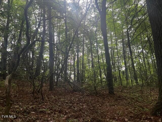 Tbd John Glover Road, Hampton, TN 37658