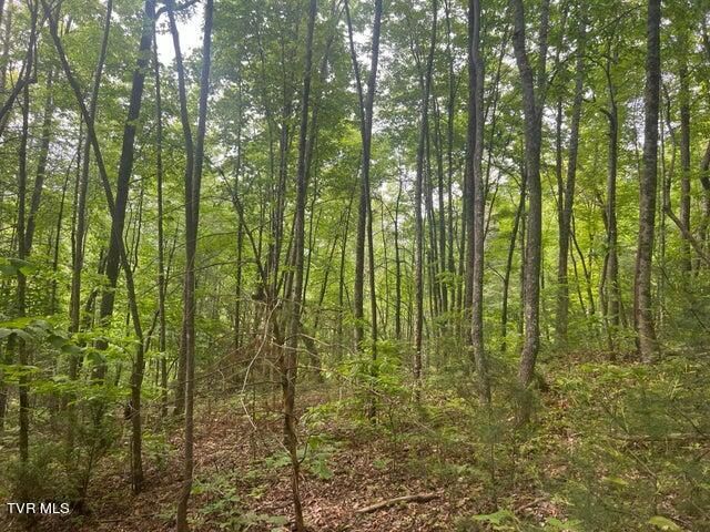 Tbd John Glover Road, Hampton, TN 37658