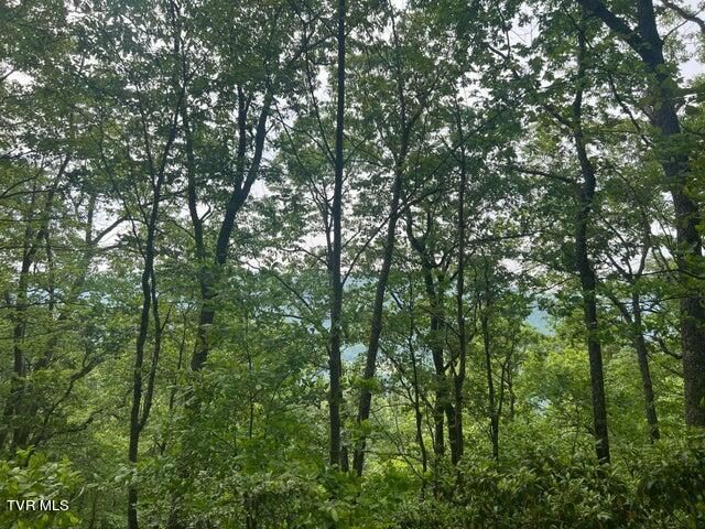 Tbd John Glover Road, Hampton, TN 37658