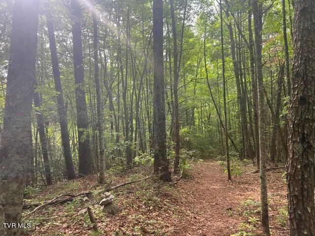 Tbd John Glover Road, Hampton, TN 37658