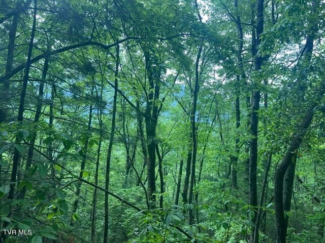 Tbd John Glover Road, Hampton, TN 37658