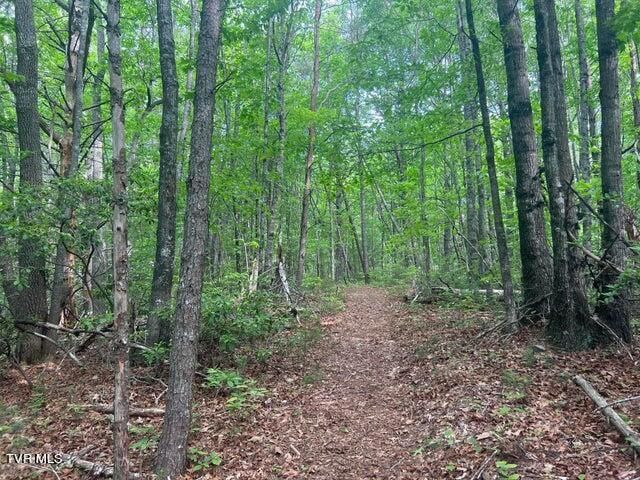 Tbd John Glover Road, Hampton, TN 37658