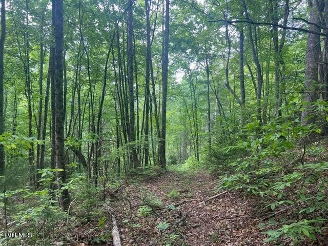 Tbd John Glover Road, Hampton, TN 37658