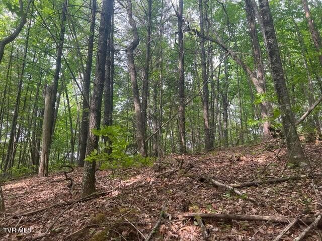 Tbd John Glover Road, Hampton, TN 37658