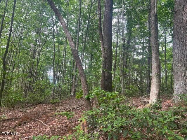 Tbd John Glover Road, Hampton, TN 37658