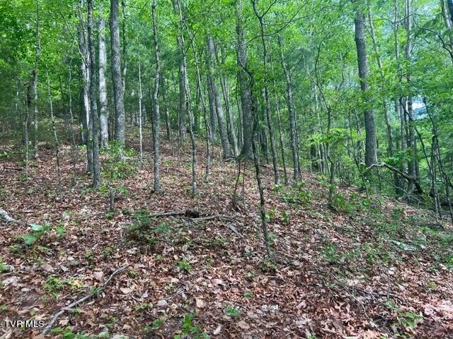 Tbd John Glover Road, Hampton, TN 37658