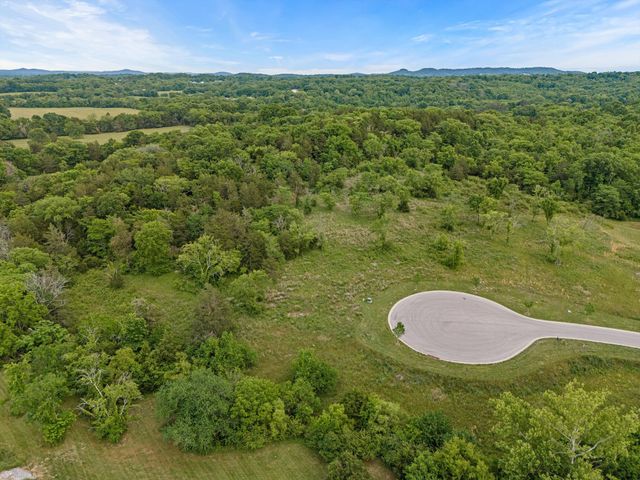 9447 Thatchbay Ct, College Grove, TN 37046