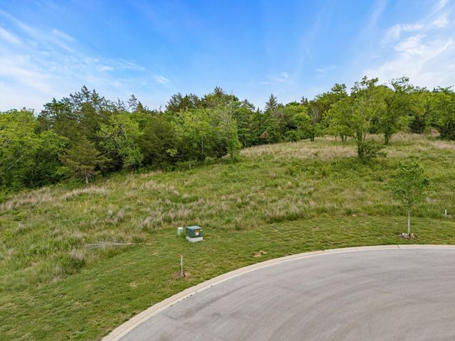 9447 Thatchbay Ct, College Grove, TN 37046