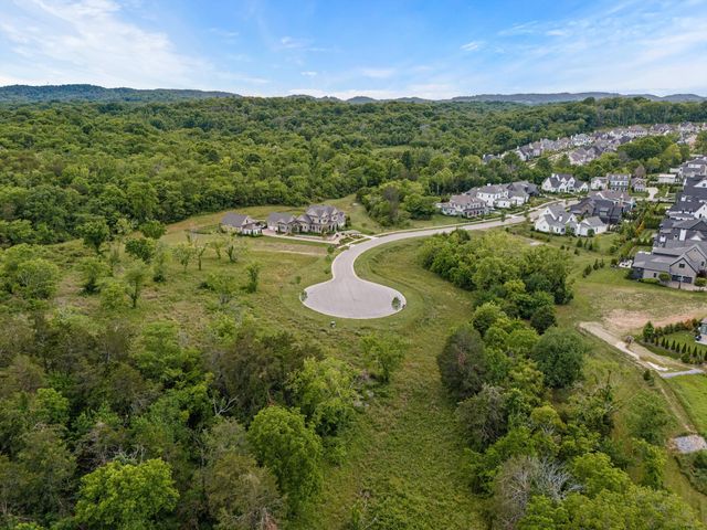 9447 Thatchbay Ct, College Grove, TN 37046