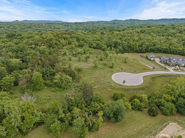 9447 Thatchbay Ct, College Grove, TN 37046