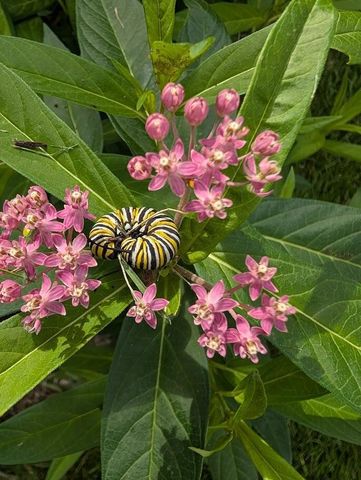 W350N6781 Baltic Pass, Oconomowoc, WI 53066