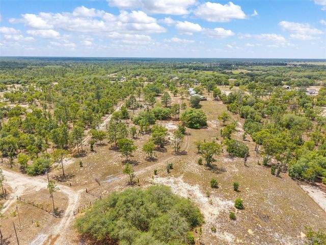 9950 SE 136TH TERRACE, Dunnellon, FL 34431