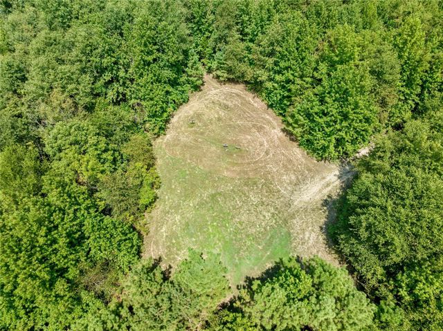 12025 FM 195, Bagwell, TX 75412