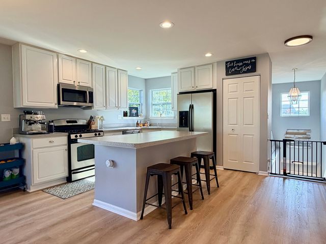 1226 CHESTERTON Drive, Volo, IL 60020