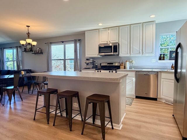 1226 CHESTERTON Drive, Volo, IL 60020