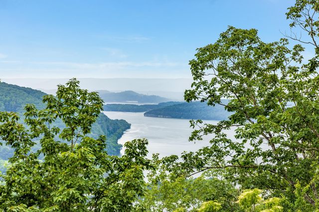 0 Birds Eye Way 1108, Guild, TN 37340