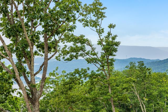0 Birds Eye Way 1108, Guild, TN 37340