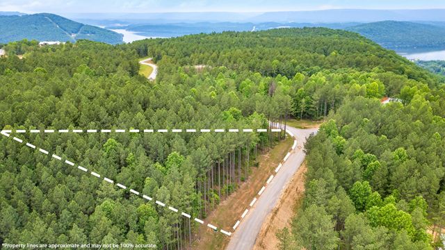 0 Birds Eye Way 1108, Guild, TN 37340
