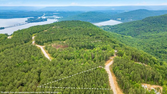 0 Birds Eye Way 1108, Guild, TN 37340