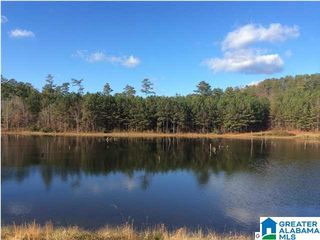 48 BELLS LANE, Vincent, AL 35178