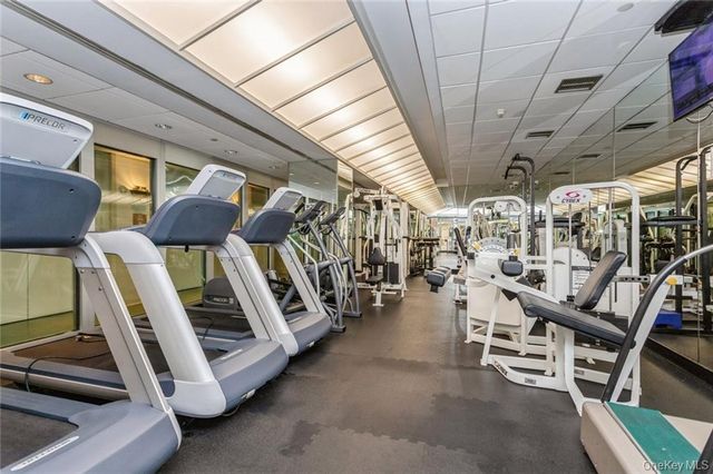 4 Martine 421, White Plains, NY 10606