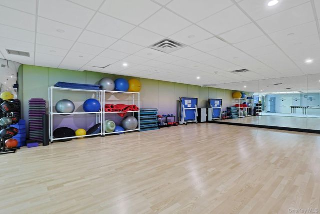 4 Martine 421, White Plains, NY 10606