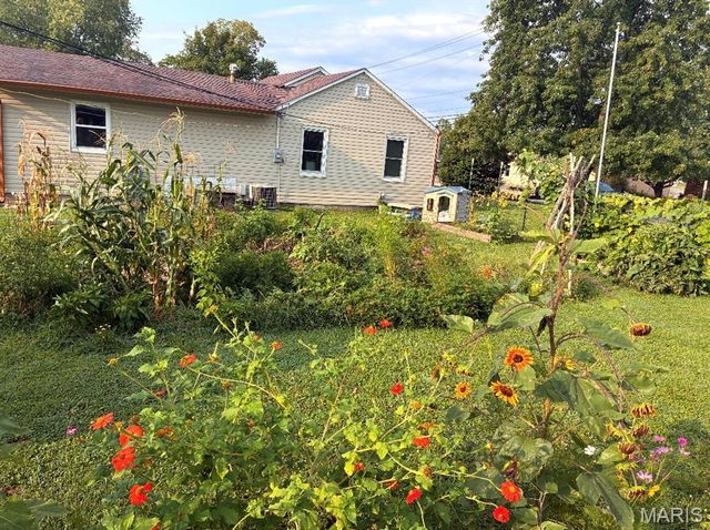 1102 N Washington Street, Farmington, MO 63640