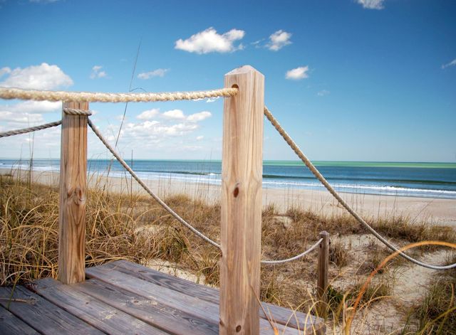 703 Collins Meadow Dr., Georgetown, SC 29440