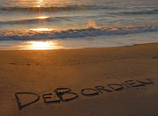 703 Collins Meadow Dr., Georgetown, SC 29440