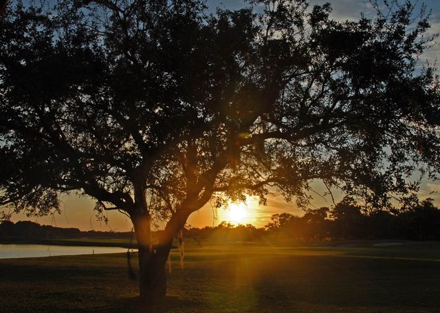 703 Collins Meadow Dr., Georgetown, SC 29440