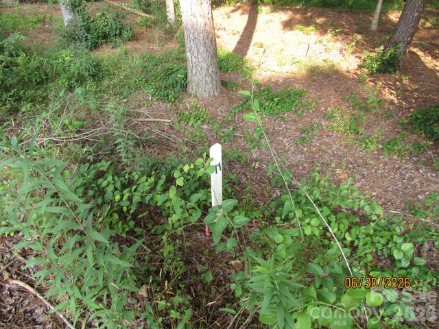 00 Church Road Lot 11, Taylorsville, NC 28681