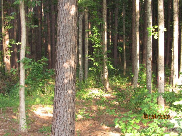 00 Church Road Lot 11, Taylorsville, NC 28681