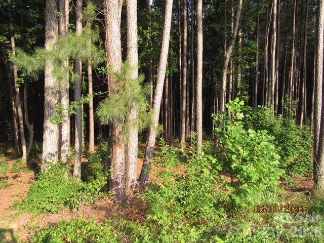 00 Church Road Lot 11, Taylorsville, NC 28681