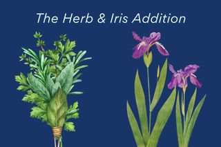 Lot 1 BLOCK 8, Holmen, WI 54636