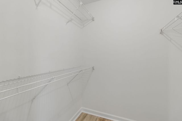 207 Southdown Drive, Columbia, SC 29209